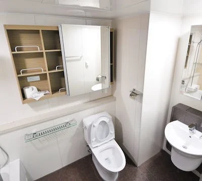 Fix And Stop Overflowing Toilets